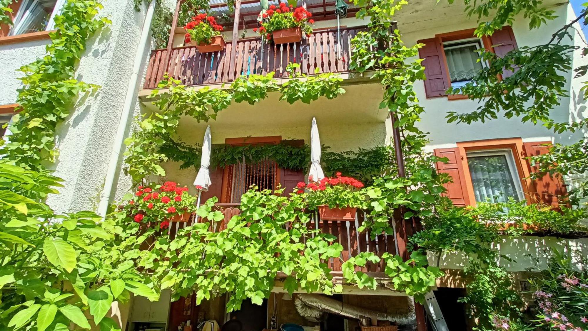 Urlaub Mit Charme In Der Kleinsten Stadt Der Pfalz. Obermoschel Luaran gambar