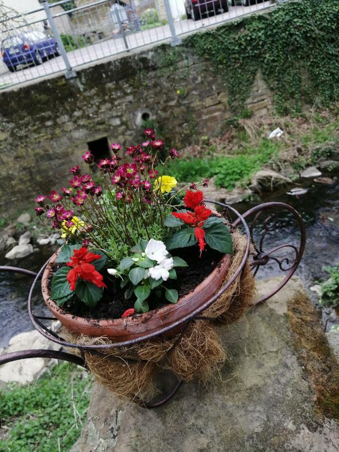 Urlaub Mit Charme In Der Kleinsten Stadt Der Pfalz. Obermoschel Luaran gambar